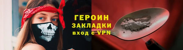 индика Тавда