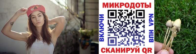 Псилоцибиновые грибы Psilocybine cubensis  Воркута 