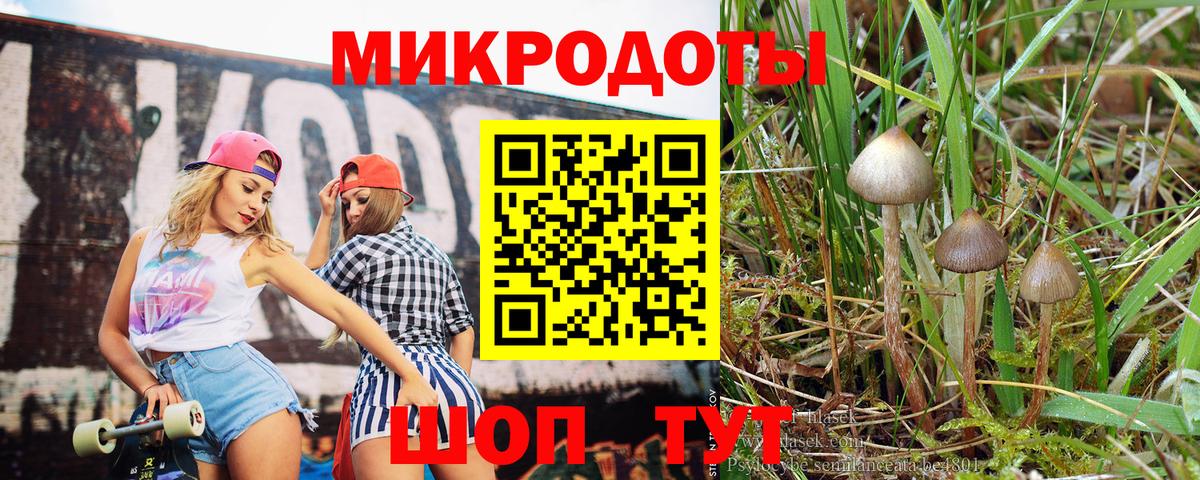 Галлюциногенные грибы GOLDEN TEACHER Воркута