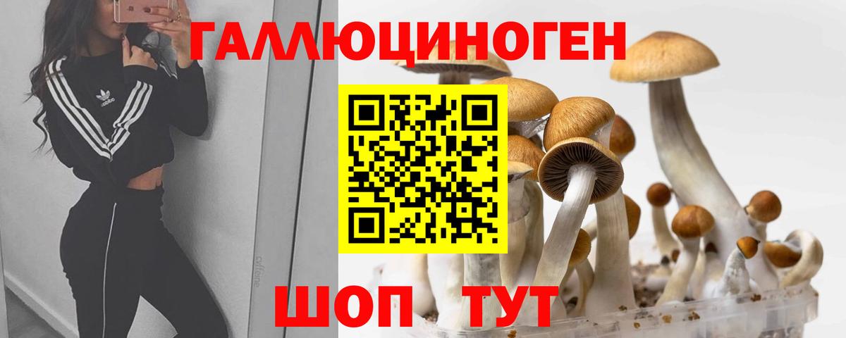 Воркута  Галлюциногенные грибы Psilocybe  продажа наркотиков  Вход с VPN 